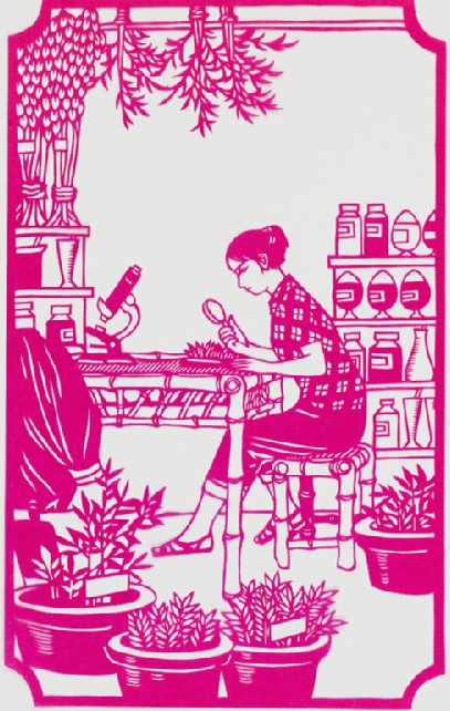 Barefoot doctor working at a bamboo table
place of creation: China 1973 - 1974
Presented by John Gittings, 2008.
cut paper, 23.5 x 14.5 cm (height x width)
New Women: Chinese Folk Papercuts, 1973 - 1974